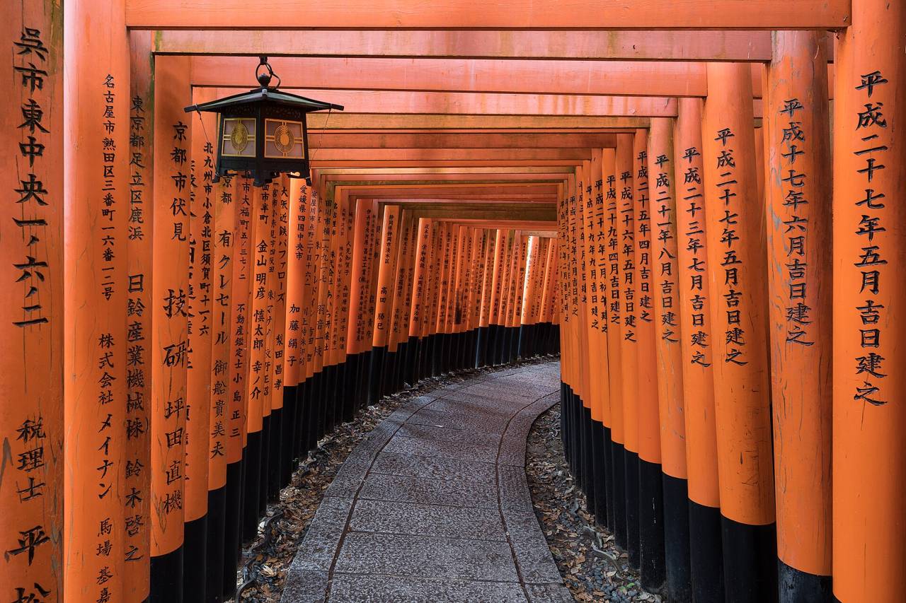 Torii gates at Fushimi Inari, Kyoto